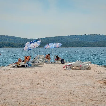 Daniela تروغير